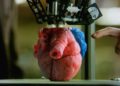 Científicos israelíes descubren tinte azul que podría reparar corazones tras un ataque cardíaco