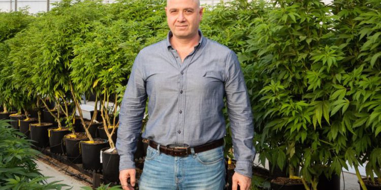 BOL Pharma de Israel apunta a ser la mejor industria de cannabis medicinal del mundo