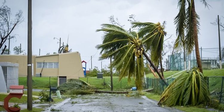 Secuelas del huracán María en Puerto Rico - iStock