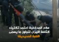 Hamas publicó el martes un vídeo para mostrar cómo logró “superar” el sistema israelí de defensa de misiles Cúpula de Hierro