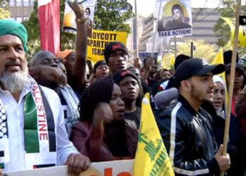 Los partidarios de la campaña sudafricana de BDS se reunieron en Johannesburgo el 31 de mayo de 2019. Foto: captura de pantalla.