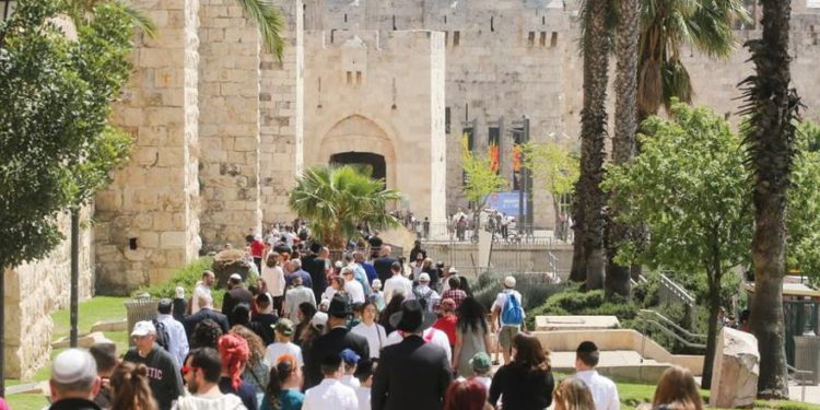 Cientos de turistas caminan hacia la puerta de Jaffa en Jerusalén. (Crédito de la foto: MARC ISRAEL SELLEM)