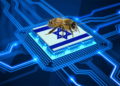 Tecnología israelí aplicada a las abejas para salvar al mundo