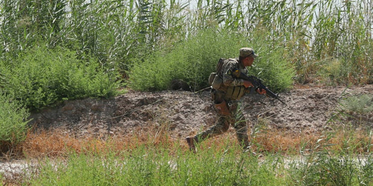 Un soldado iraquí busca militantes del Estado Islámico durante una operación en Taramiyah, 50 kilómetros (31 millas) al norte de Bagdad, el martes | Foto: AP Photo / Hadi Mizban