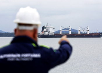 Un oficial de la Autoridad Portuaria señala en Bavand, una de las dos embarcaciones iraníes varadas en el puerto de Paranagua, Brasil, el jueves | Foto: AP Photo / Giuliano Gomes