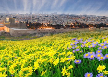 El cambio ecológico que producirá el tercer Templo en Jerusalem