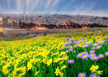 El cambio ecológico que producirá el tercer Templo en Jerusalén