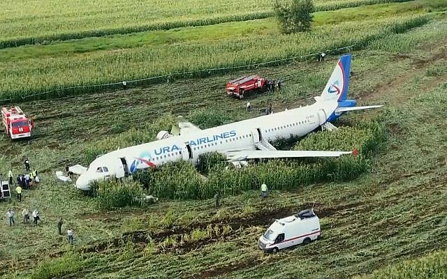 En esta captura de video proporcionada por la televisión rusa RU-RTR, se ve un avión A321 de Russian Ural Airlines después de un aterrizaje de emergencia en un campo de maíz cerca de Ramenskoye, en las afueras de Moscú, Rusia, el jueves 15 de agosto de 2019. (RU-RTR Russian Televisión vía AP)