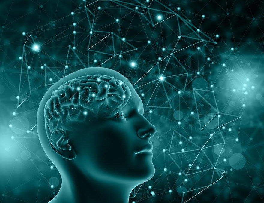 La microgravedad afecta la conectividad en el cerebro