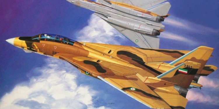 Cómo lucharon los F-14 de Irán en la guerra contra Irak