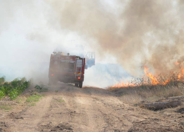 Los equipos de bomberos luchan contra un incendio provocado por globos incendiarios lanzados desde Gaza a Israel el 14 de junio de 2019 (Servicios de bomberos y rescate)