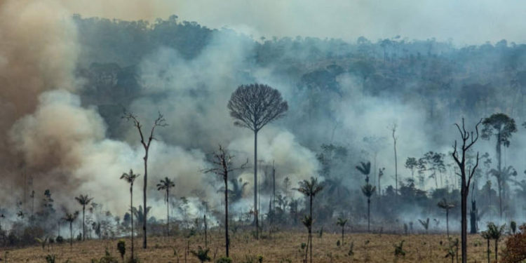 El humo se eleva de los incendios forestales en Altamira, estado de Pará, Brasil, en la cuenca del Amazonas, el 27 de agosto de 2019. (Joao Laet / AFP)