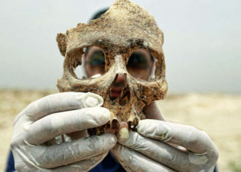 Científicos revelan que cadáveres humanos se mueven durante más de un año después de la muerte