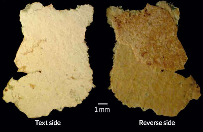 Utilizando rayos X y espectroscopía Raman para examinar un fragmento del Pergamino del Templo (se muestran dos vistas), los científicos identificaron una extraña capa de sal en el lado del texto del pergamino que no se ha encontrado en otros Pergaminos del Mar Muerto. R. SCHEUTZ Y COL. / SCI. ADV. 2019