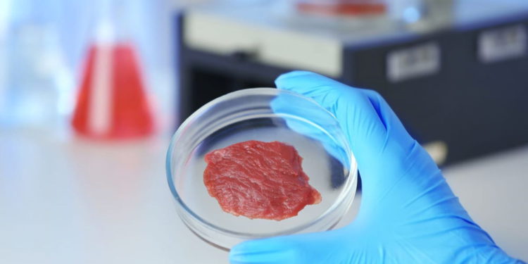 Startup israelí imprimirá carne real a partir de “tinta celular”