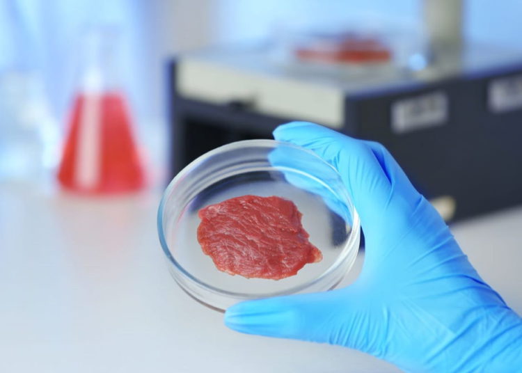 Startup israelí imprimirá carne real a partir de “tinta celular”
