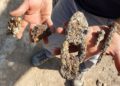 Familia encuentra antiguos martillos y clavos en el norte de Israel - Autoridad de Antigüedades de Israel
