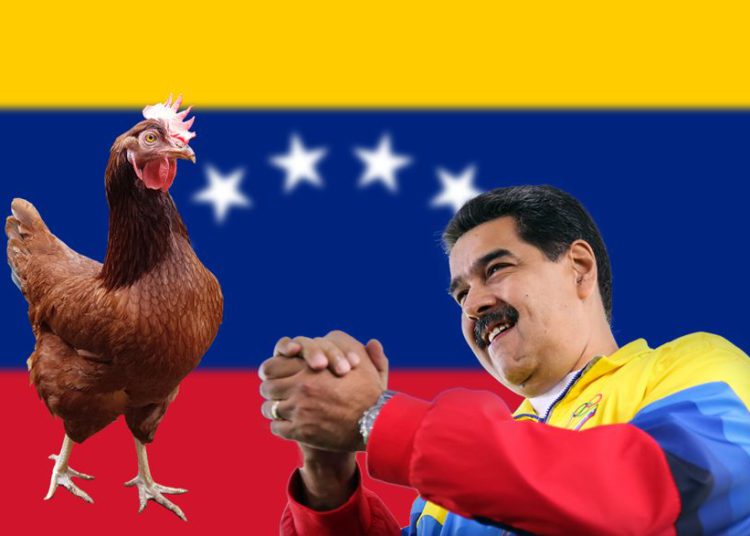 Maduro de Venezuela instalará “gallineros” en las aulas para combatir el hambre