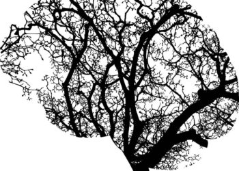 ¿Por qué tu cerebro está convencido de que vivirá para siempre?