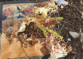 IED escondido en un libro aterriza en la comunidad israelí