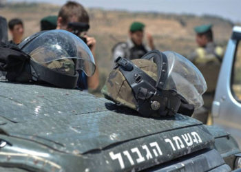 Policía de Fronteras de Israel prohíbe a sus agentes utilizar la aplicación china TikTok