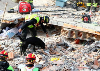 Buscando sobrevivientes después del terremoto albanés ( Foto: AP )