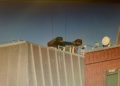 “Misteriosa” batería de misiles antiaéreos vista en techo de edificio cerca a la Casa Blanca