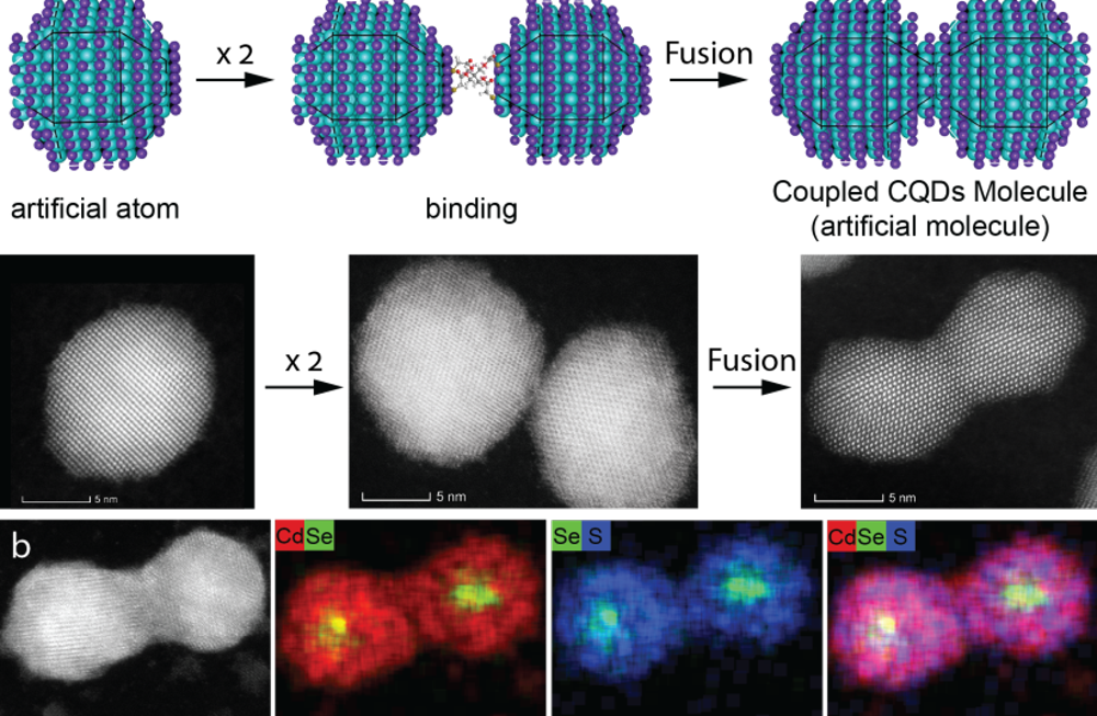 Átomos y moléculas de puntos cuánticos (Crédito de la foto: MEIRAV ODED Y SOMNATH KOLEY)