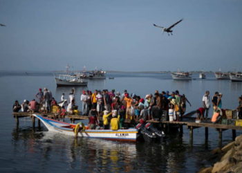 Venezuela, la puerta trasera para el narcotráfico a Europa - cocaína