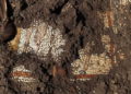 Mosaicos descubiertos en el Golán confirman la histórica presencia judía