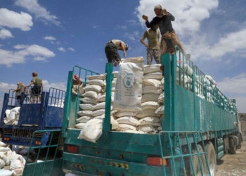 Ayuda alimentaria de la ONU saqueada por los huties de Yemen