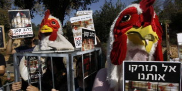 Miembro polaco del Parlamento Europeo compara el Holocausto con el maltrato animal