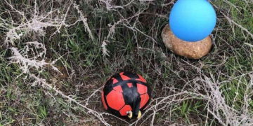 FDI escribe poemas que enseñan a los niños a alejarse de los globos incendiarios