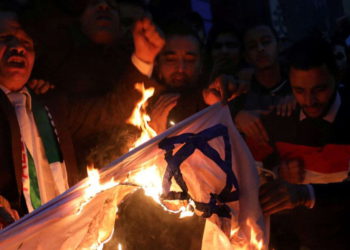 Alemania prohibirá la quema de banderas israelíes y de otros Estados