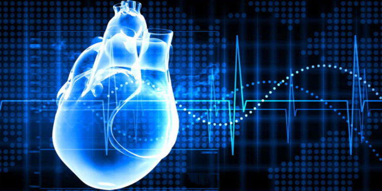 Equipo médico internacional busca desarrollar el primer corazón robótico híbrido