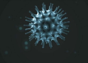 ¿El coronavirus es el resultado de un ciberataque?