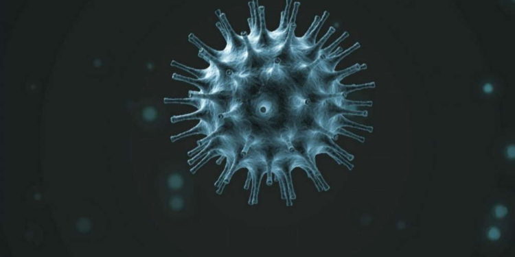 ¿El coronavirus es el resultado de un ciberataque?