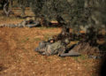 Dos soldados de Turquía son asesinados en Siria en medio de amenazas de guerra