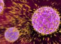 Científicos israelíes encuentran anticuerpos que neutralizan el coronavirus