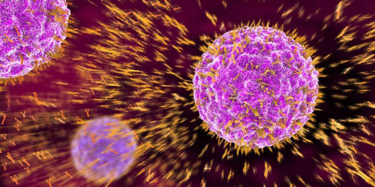 Científicos israelíes encuentran anticuerpos que neutralizan el coronavirus