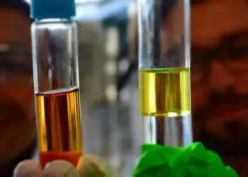 La caída del petróleo podría destruir el mercado mundial de biocombustibles