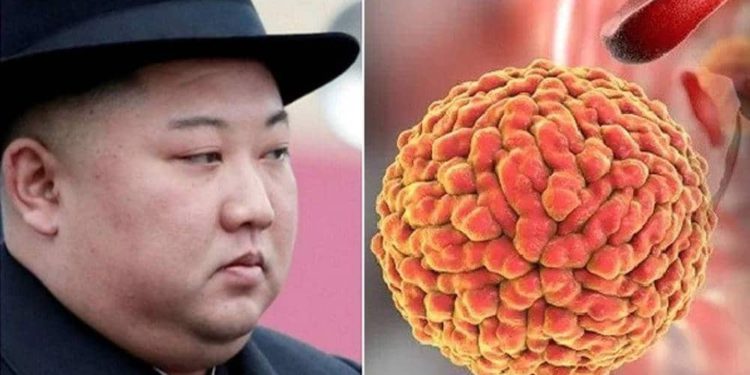¿Corea del Norte podrá hacer frente al coronavirus?