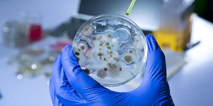 Israel lidera la batalla contra el coronavirus