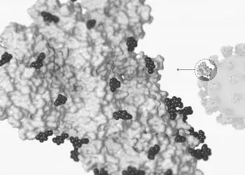 El coronavirus no está vivo: Por eso es tan difícil de matar - Virus