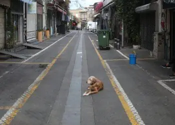 Cuando se desvanezca la peste surgirán nuevas posibilidades