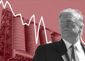 El pacto mundial para contener la caída del precio del petróleo toma forma