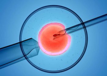Israel detiene todos los nuevos tratamientos de fecundación in vitro por temor al coronavirus