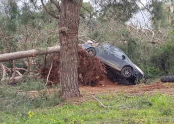 Tormenta excepcional en Israel: caída de árboles y cortes de electricidad en todo el país