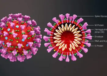 Nueva cepa de coronavirus es más contagiosa que la original, según estudio