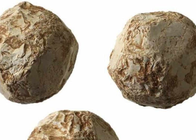 Arqueólogos israelíes resuelven el misterio de las esferas de piedra prehistóricas